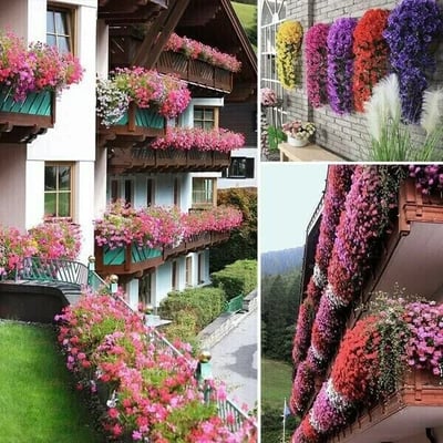 🔥Last Day 49% OFF - 🌺🌷Vivid Artificial Hanging Orchid Bunch（🔥BUY 6 FREE SHIPPING🔥）