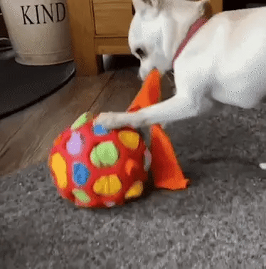 Snuffle Ball Interactive Treat Game