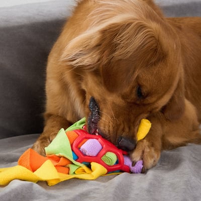 Snuffle Ball Interactive Treat Game