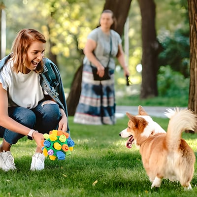 Snuffle Ball Interactive Treat Game