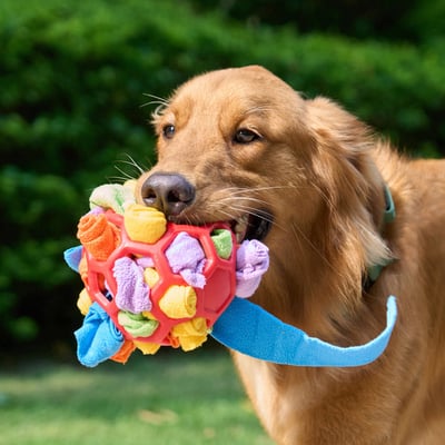 Snuffle Ball Interactive Treat Game